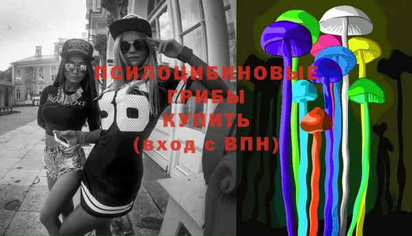 дмт Володарск