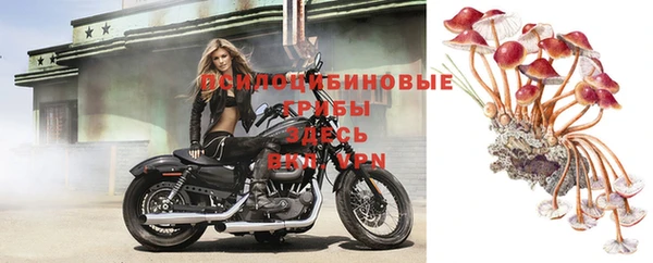 дмт Володарск