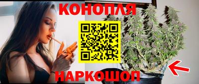 сатива Бийск