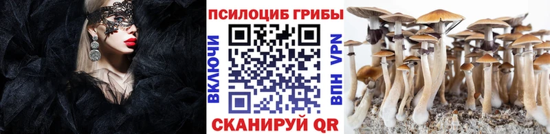 Галлюциногенные грибы мицелий  Грязи 