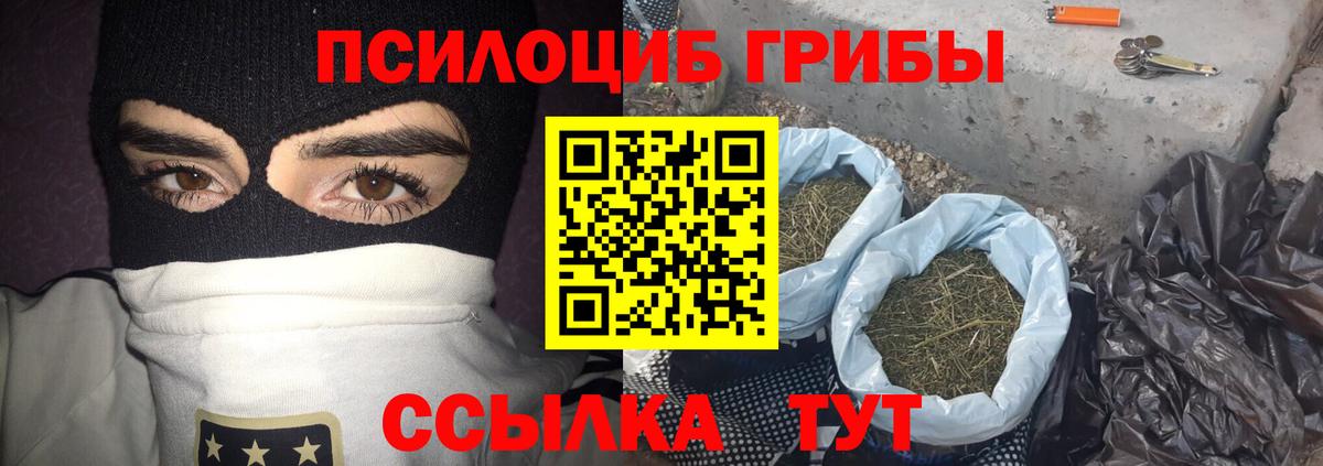 Псилоцибиновые грибы мухоморы Грязи